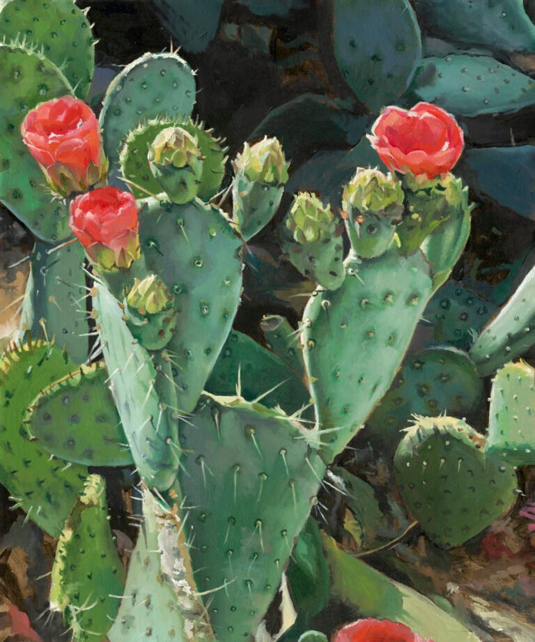 cactus bloom