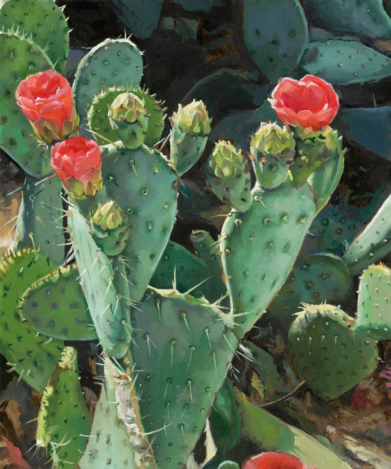 cactus bloom