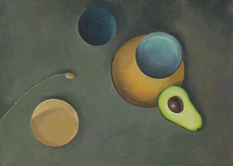 Still life with avocado